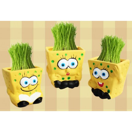 Травянчик Sponge Bob