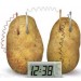 Часы в картошке